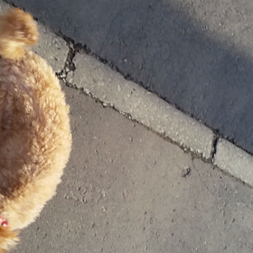 怪しい息づかい……の画像