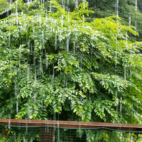 2022年観導塾屋久島セミナー幹部コース　２の画像