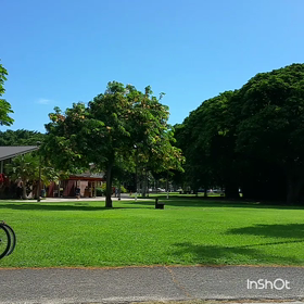 ☆ワイキキ☆の画像