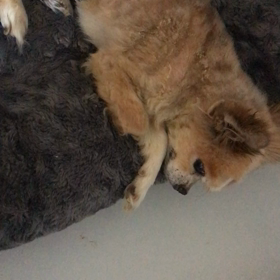 じわじわと・・の画像