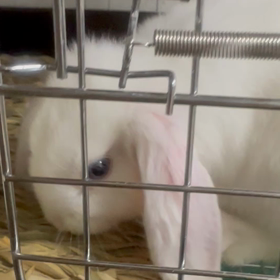 新しい出逢いの画像