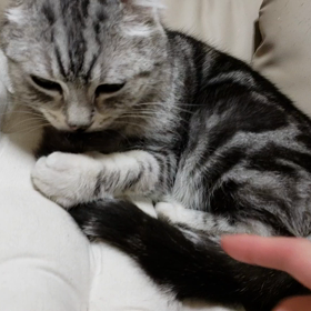 痛くないぞの画像