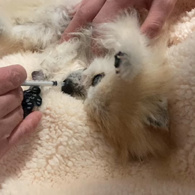 覚悟の時間の画像