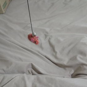 今日も元気にネズミさん。の画像