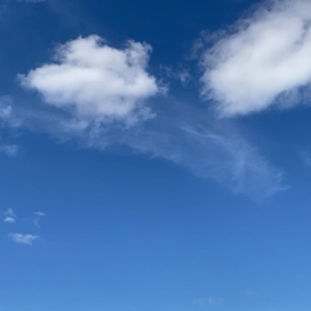 龍神様みたい〜。の画像