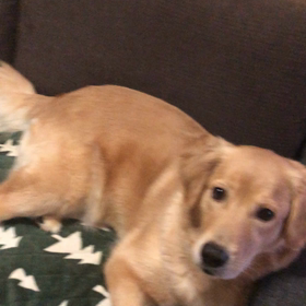 おはよーの画像