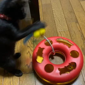 ○○しないの画像