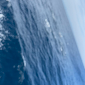 6/7 〜キハダボイルあり〜の画像