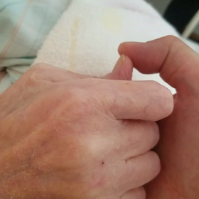 おやじさまの画像