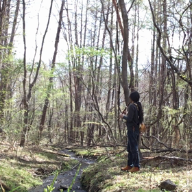 軽井沢 ミッションの画像