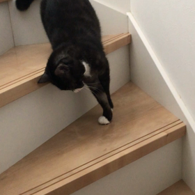 今ではこんなだけどの画像