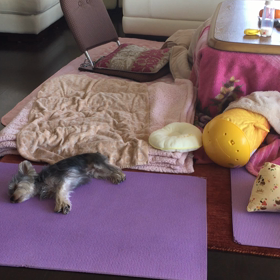 それぞれ。の画像