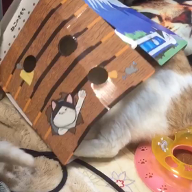 猫のきもちの付録がの画像