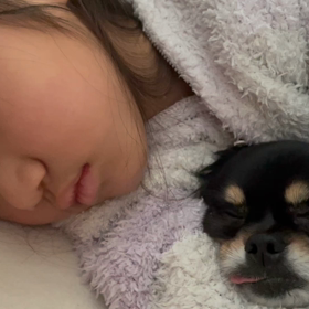 いびきと娘とワンコの画像