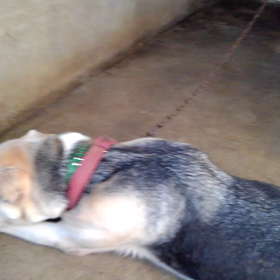 探しても。探しても見つからないもの。の画像