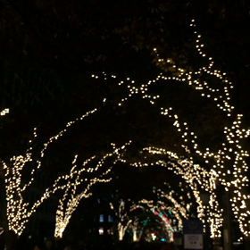 2017年12月4日（月）の画像