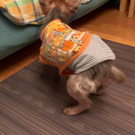 体力も回復。の画像