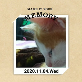 メロメロの画像