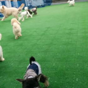 ヘタレ気味。。からの反省wの画像