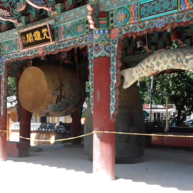 韓国生活 近くのオオサ 어오사の画像