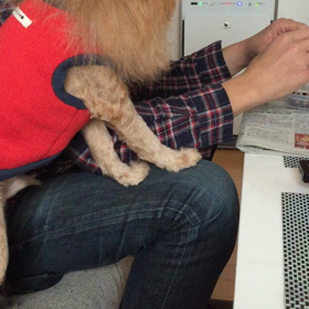 お散歩前の一コマ  動画版♪の画像