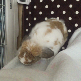 遂にやってきた‼️の画像