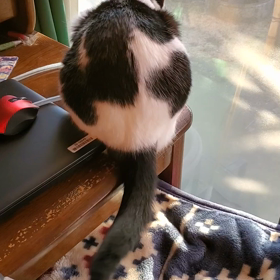 明けましておめでとうございますの画像