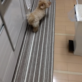 雨の日の遊びの画像