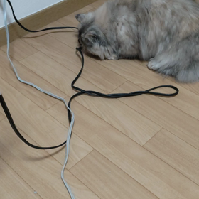 ソフトパンチの画像