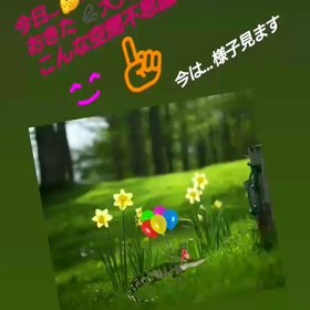 不思議な事が～今日、おきた❗…の画像