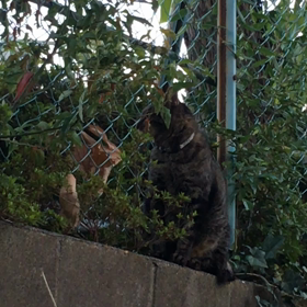 歳下に対して自分が歳上である優位性を説く奴に限って、歳上に対して敬う気持ちてないよね！の画像