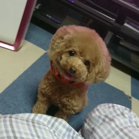 ごめんねの画像