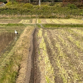 但馬の小京都 出石へショートトリップ①♪の画像
