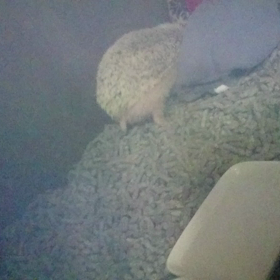 自分の居場所。の画像