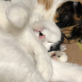 風に吹かれての画像