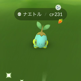 コミュニティデイ‼️の画像