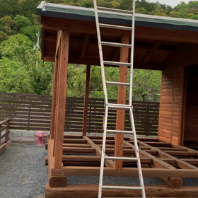 人生初めての画像