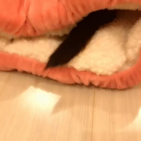 雨だとプラマイゼロって感じ？の画像