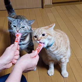 花と竜　９９の画像