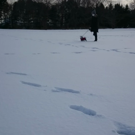 雪大好きの画像