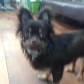 まったりの画像