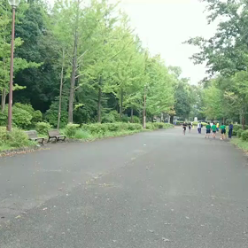 9月21日 100mCグループ(男子選考会)②の画像