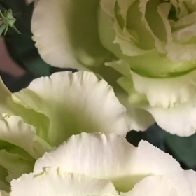 10月19日の気になるMovieの画像