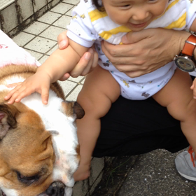 お久しぶりー‼︎ですの画像