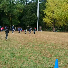 ダッシュ(緑チーム)④の画像