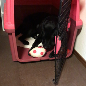 この記事の画像