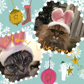 メリークリスマスの画像