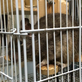 何がなんでも触り隊の画像