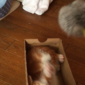 成長♡︎の画像