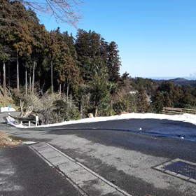 何処から来たの？の画像